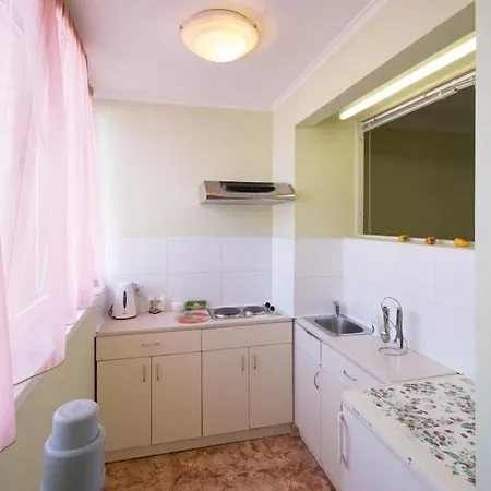 Aparthotel Service Predslava On Antonovicha Street